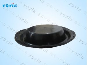 隔膜片KS125ZXQ016L13NOERH