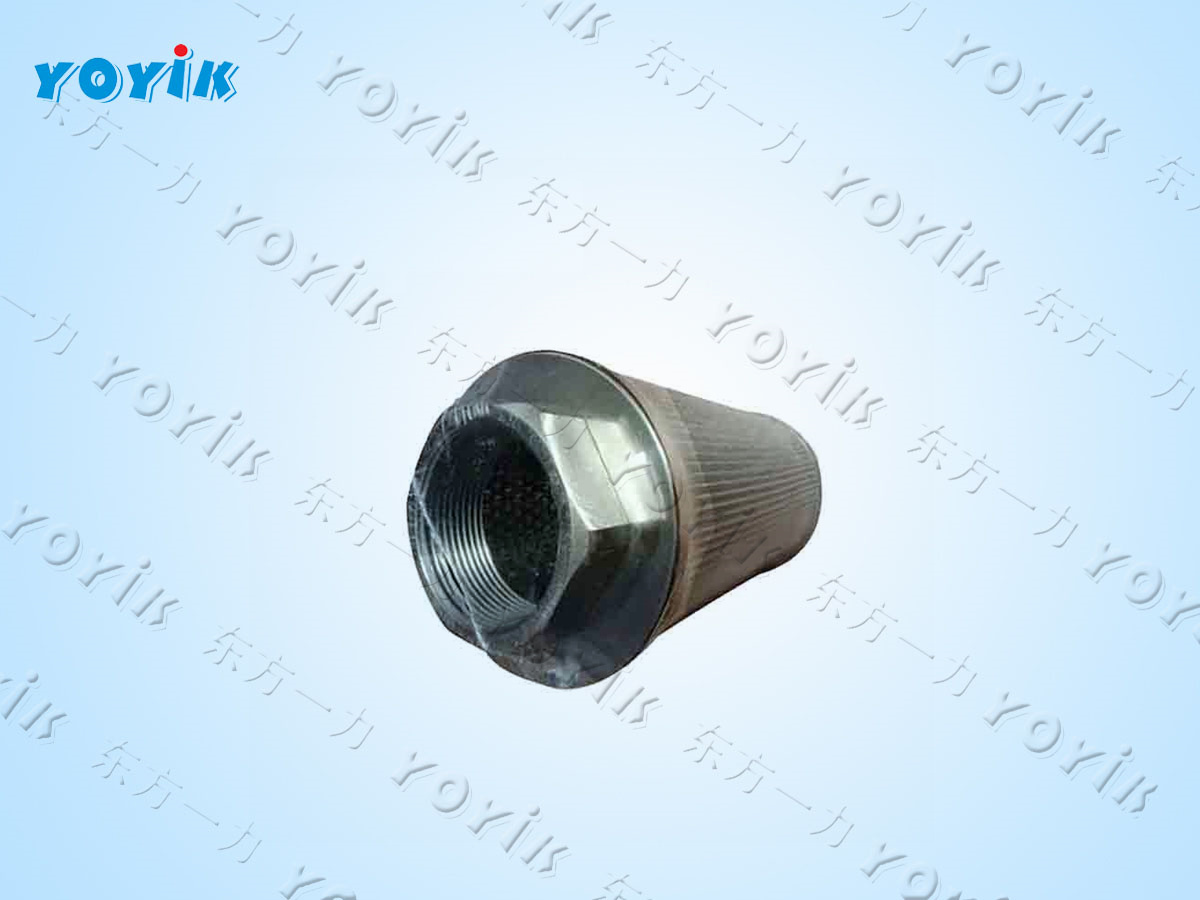 滤芯AX3E301-01D10V/-W循环泵入口滤芯