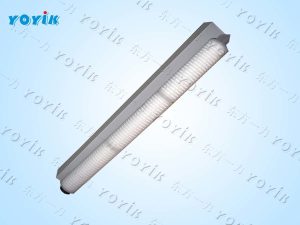 定冷泵补水滤芯SGLQB-1000定子冷却水过滤器滤芯 筒式滤芯 ABS骨架滤芯