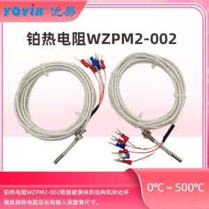 双支端面铂热电阻WZPM2-002 用于汽轮机高温高压环境