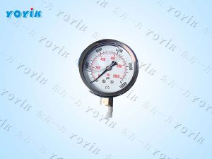 压力表YE-150使用注意事项 微小压力测量仪器