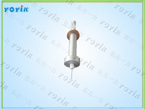 电接点电极DQS6-32-19Y维护要点 锅炉汽包水位计