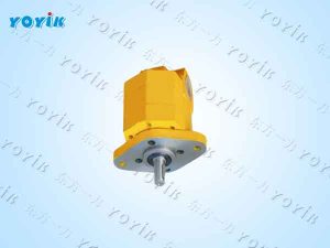 油泵BB-4NJZ不吸油或吸油不足的原因及解决方法 内啮合齿轮油泵