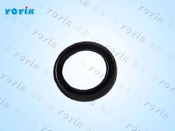 直流油泵油封LDX76-33D135MA的安装与维护 唇形密封