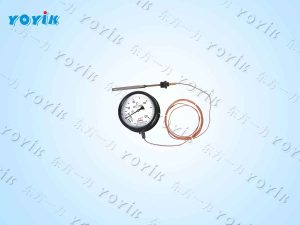 温度计WTZ-280的优势特点 工业级温度测量仪表