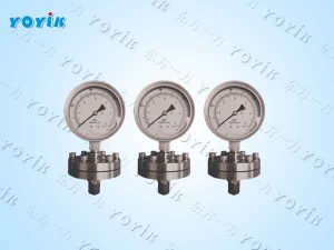 防腐耐振压力表YTP-150Z高腐蚀、强振动工况的150 mm 大口径*测压中心