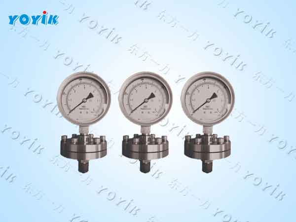 防腐耐振压力表YTP-150Z高腐蚀、强振动工况的150 mm 大口径*测压中心