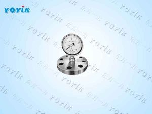 膜片压力表YP-100电站及多行业恶劣介质压力监测*