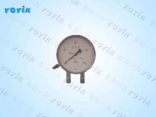 差压表CWT-100高精度、高适应性的工业差压监测利器