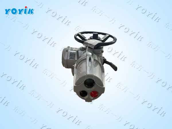 执行器RAIII30AF16B功能与技术亮点 多回转调节型电动执行器