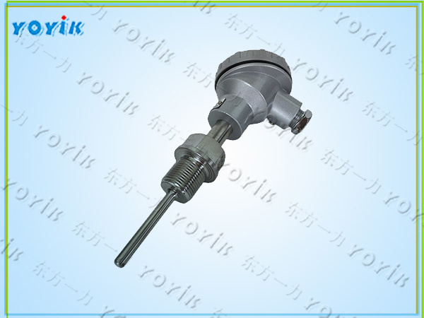 装配式热电阻WZP2-621的结构组成 双支铂热电阻