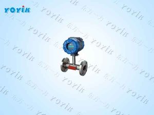 电磁流量计MFC25156110B001EH1301111的主要特点