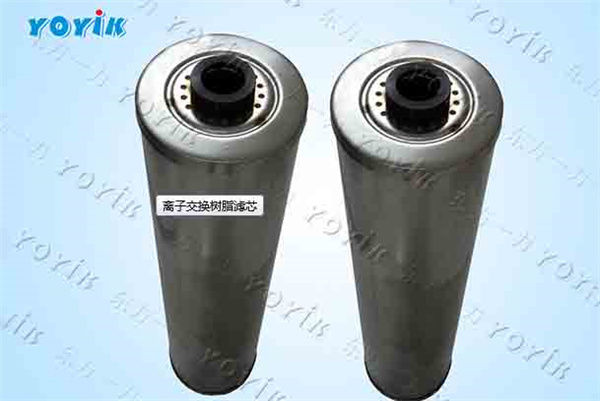 离子交换树脂滤芯