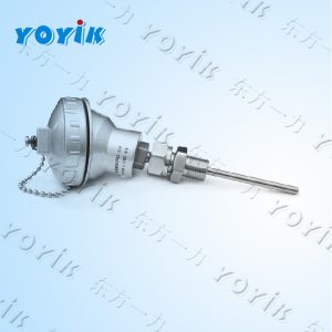 双支热电阻WZPK2-323 DCS进行显示或控制