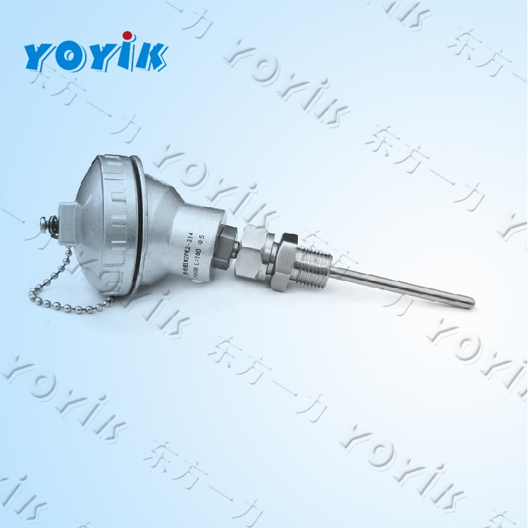 双支热电阻WZPK2-323 DCS进行显示或控制