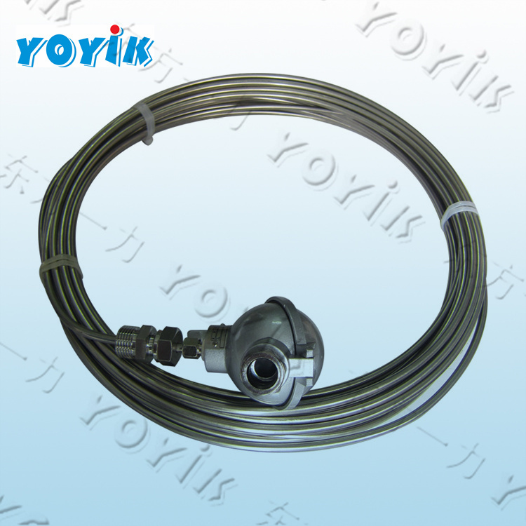 双支铠装热电偶WRNK2-331的应用