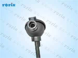 双支热电阻WZP2-231的特点 铠装热电阻的工作原理 测温传感器