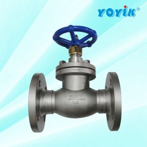 波纹管截止阀WJ65F1.6P 用于内部闭式氢气循环系统 东方一力