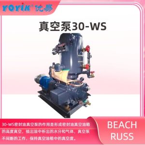 密封油真空泵WS-30 作用是保持真空油箱中的真空 东方一力