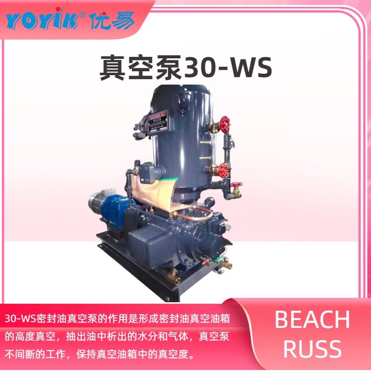 密封油真空泵WS-30 作用是保持真空油箱中的真空 东方一力