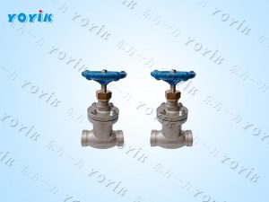 波纹管截止阀WJ20F1.6P的优势性能 氢气系统不锈钢截止阀 压力调节 流体控制