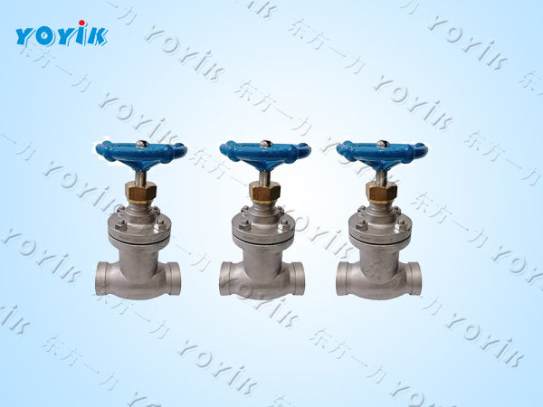 波纹管截止阀K25FJ-1.6PA2的功能及应用领域 不锈钢截止阀 氢气系统截止阀