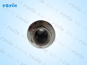 循环泵入口冲洗滤芯AX3E301-01D01V/-F的使用注意事项 EH油站滤芯 油过滤滤网