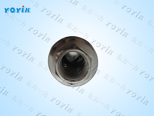 循环泵入口冲洗滤芯AX3E301-01D01V/-F的使用注意事项 EH油站滤芯 油过滤滤网