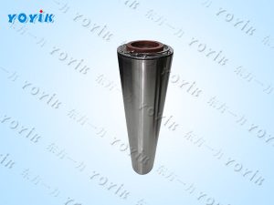 干性离子交换树脂滤芯SYLZ006-VX的优缺点 除酸滤芯 提高电阻率
