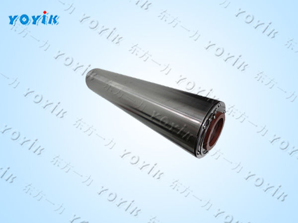 干性离子交换树脂滤芯SYLZ006-VXv的作用 汽机EHC系统脱水滤芯 除酸滤芯