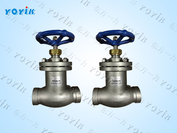 波纹管截止阀WJ50F1.6P的产品优势 氢盘不锈钢焊接门 手动截止阀