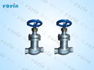 波纹管截止阀WJ10F1.6P的常见故障及解决方法 氢气系统不锈钢手动截止阀