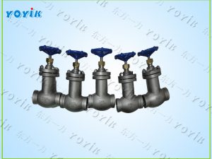波纹管截止阀WJ15F1.6P主要参数 发电机氢气系统阀门