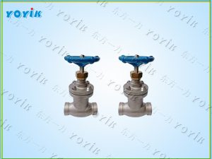 截止止回阀KLJC50-1.6P安装与维护 发电厂氢油水系统流体控制阀门