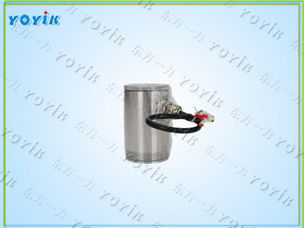 炉管泄漏探头DZXL-VI-T1的主要功能 监测锅炉炉管运行状态