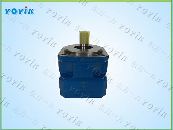 齿轮泵GPA2-16-E-20-R6.3安装与维护要点 机床单联内啮合齿轮泵