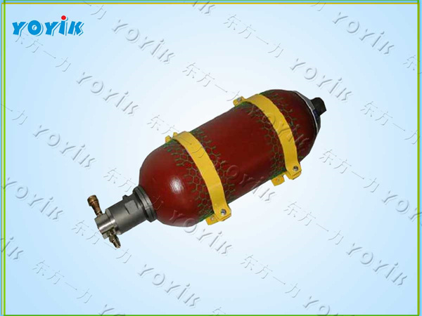 蓄能器NXQ-A-40/31.5-L-Y