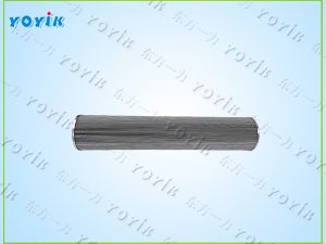 EH油主泵入口滤芯DL007001