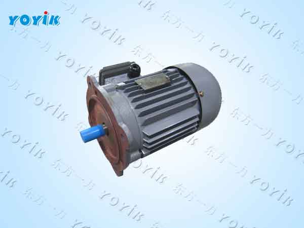 交流电机YFVP-100L-2